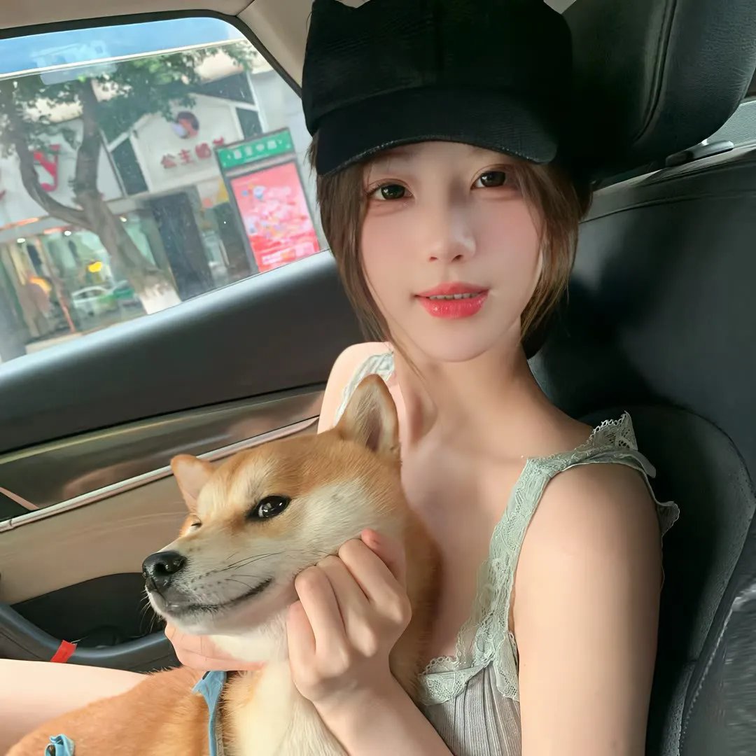 森林进化论第三季
